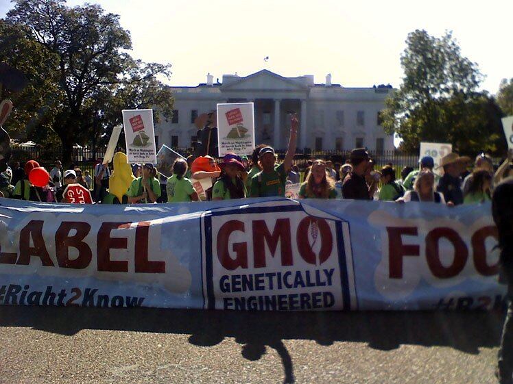 SSW-prop37-picture-credit-Millions-against-Monsanto-Flickr.jpg
