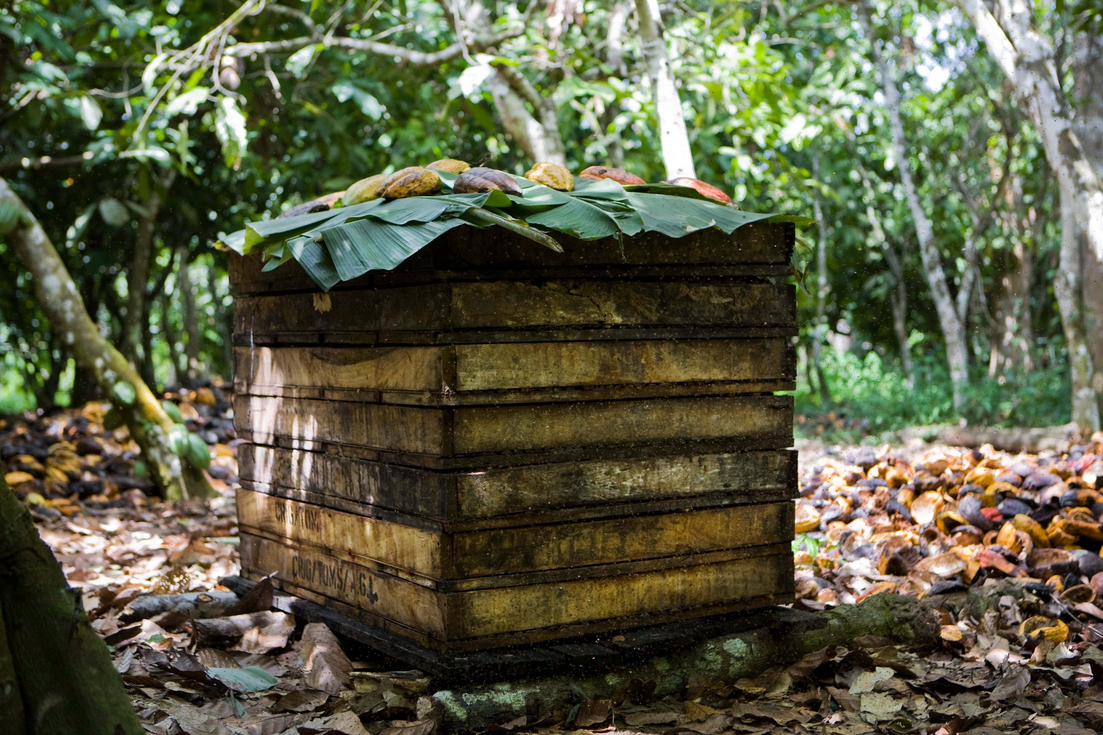 tray-ferment-Carsten-Villadsen.jpg