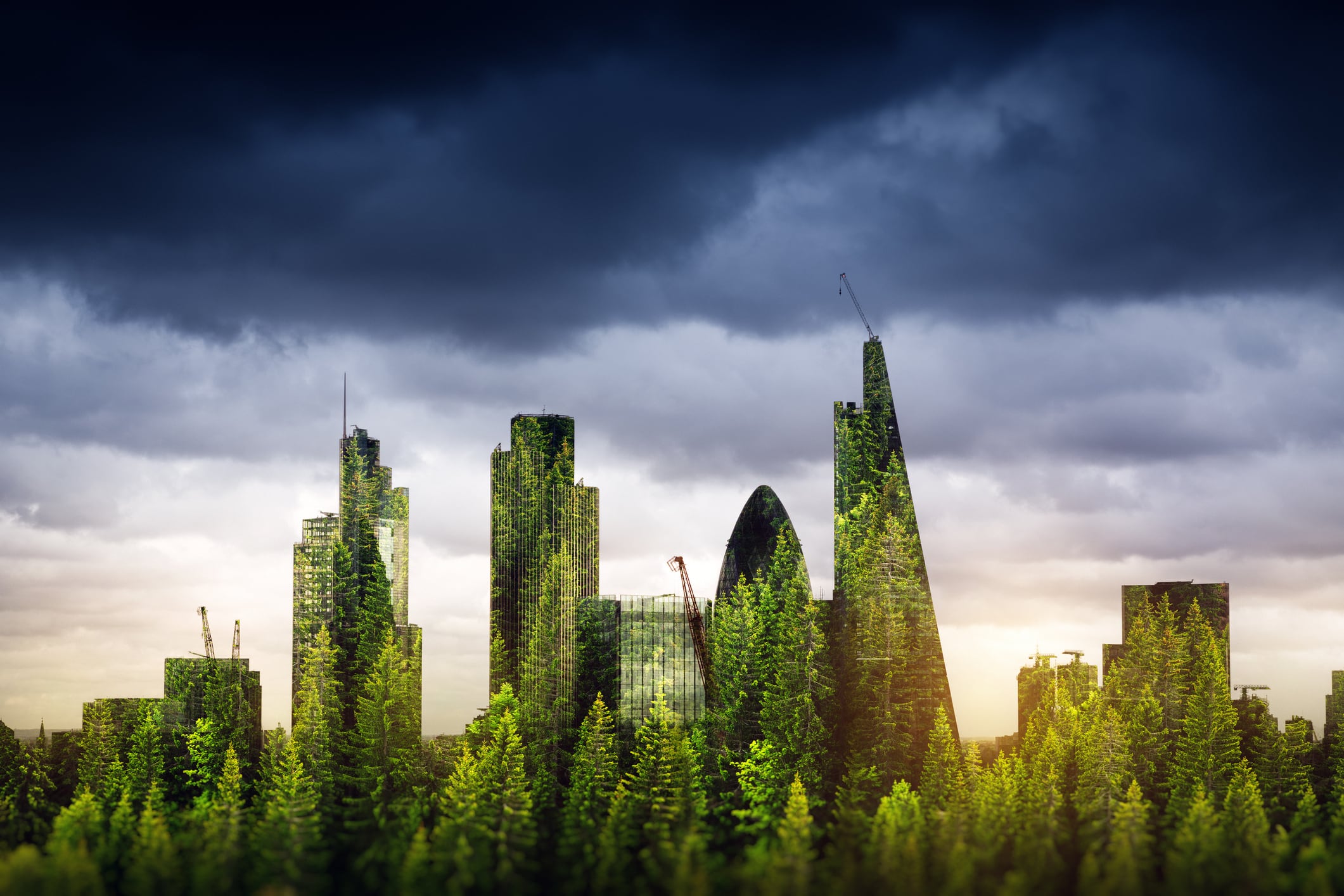 City of London, one of the leading centres of global finance, covered with forest. Green London / double exposure.