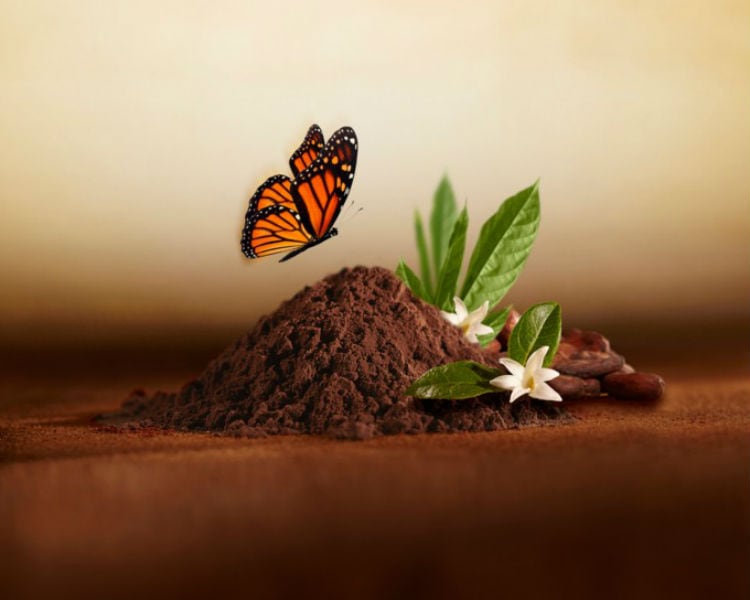 Olam brings its deZaan TrueDark cocoa powder to Fi Europe in Paris