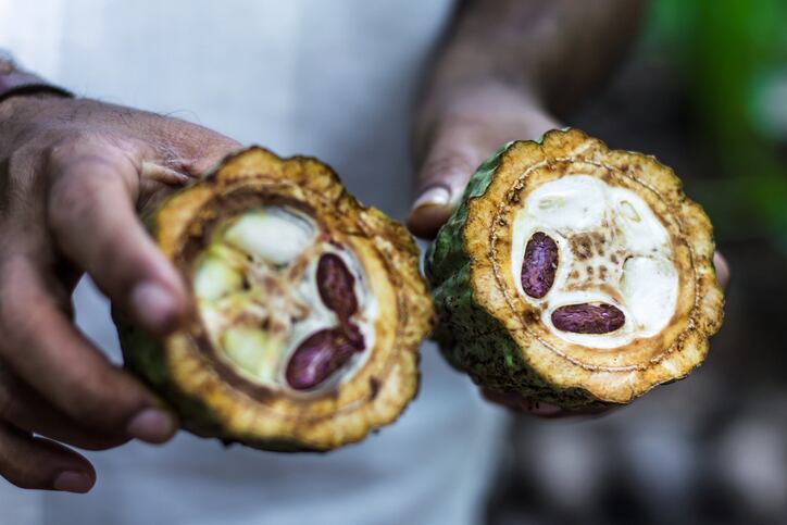 World Cocoa Foundation will dissect ‘Drivers of Change’ at annual conference