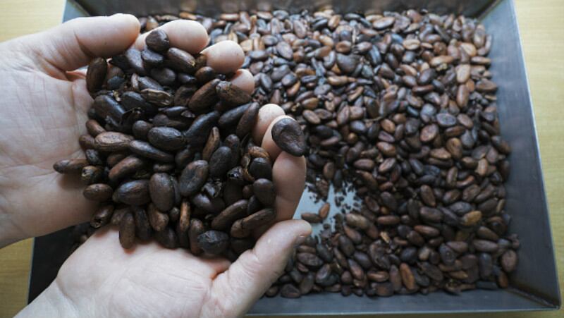 Cocoa connectivity: Cargill targets further digital traceability advances for Indonesia