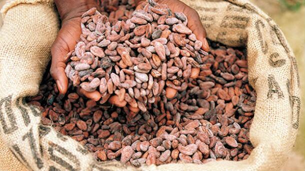 Côte d'Ivoire raises cocoa farmers' price for first time in two years, while Ghana refrains