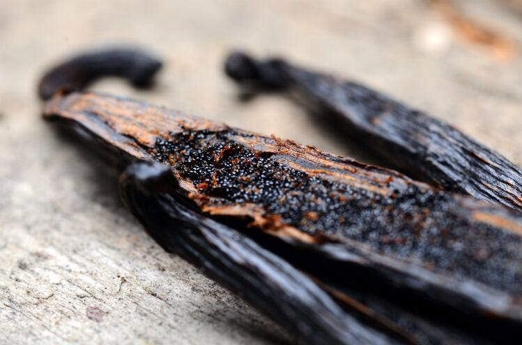 vanilla-bean-GettyImages-538478747_suti.jpg