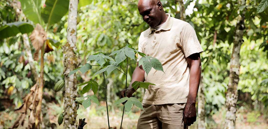 Nestle-moves-closer-to-2050-net-zero-pledge-on-deforestation-in-its-cocoa-supply-chain.jpg