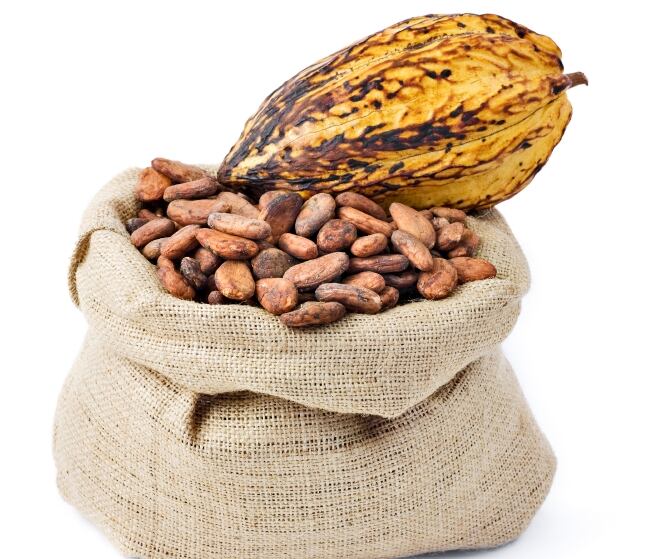 Researchers are non-committal on guidance of cocoa flavanols for patients with type-2 diabetes