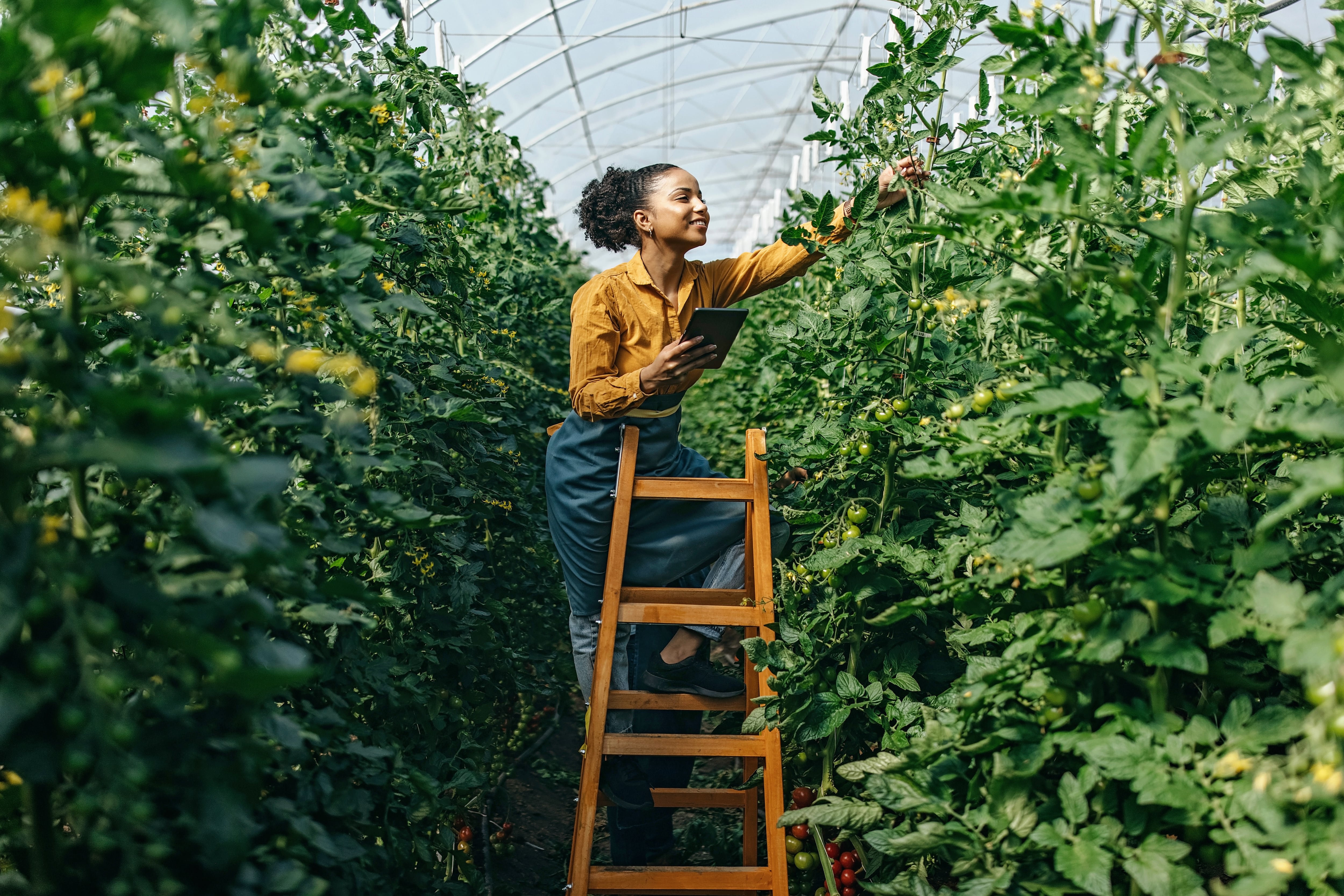 Unveiling 2025’s top food tech innovations