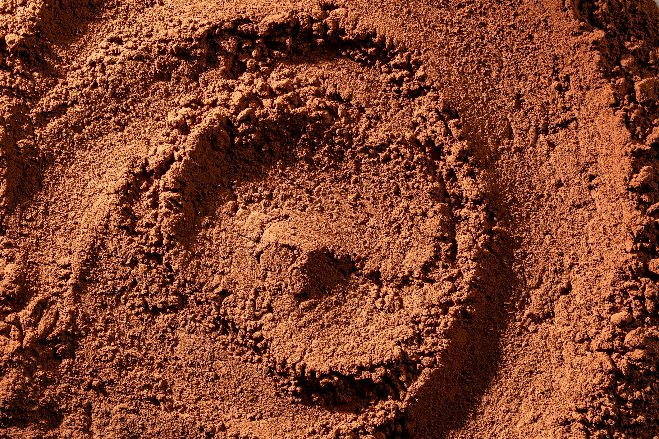 De-risking cocoa: The chocolate giants leaning into novel technologies