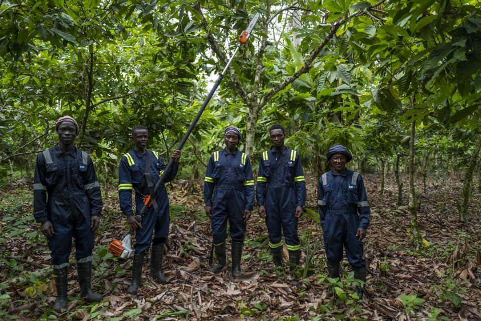 Barry Callebaut offers more labour support for cocoa farmers