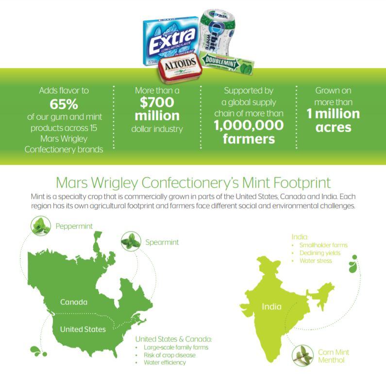 Source-Mars-mint-infographic.jpg