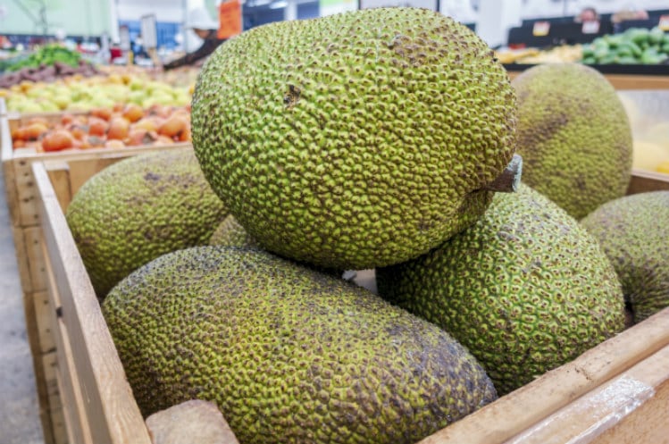 jackfruit-whole-GettyImages-1061674026_sfe-co2.jpg