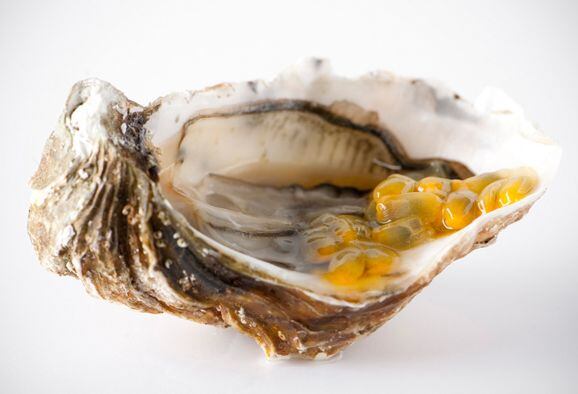 Oyster-passion-fruit-foodpairing.jpg