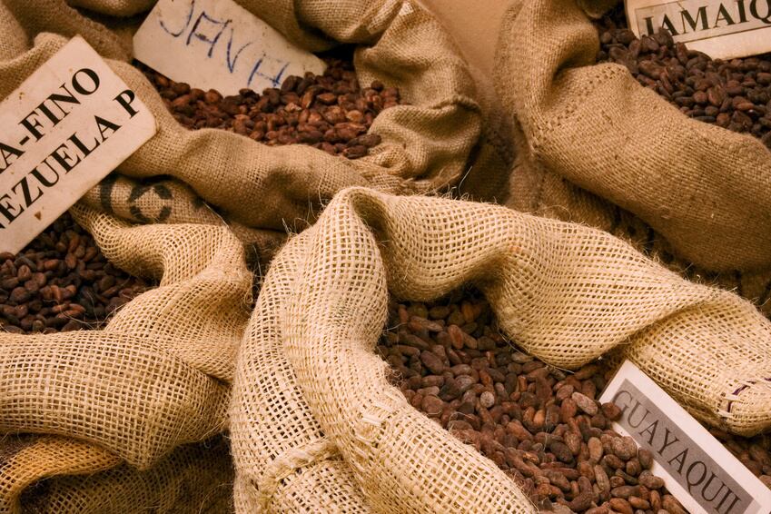 Eary-bird rates still available for ECA Cocoa Forum in Rome