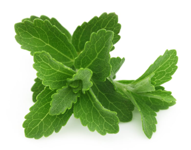 stevia-pic-bdspn.jpg