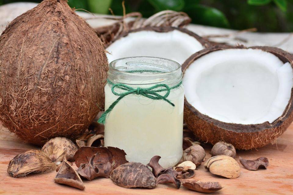 Barry Callebaut works with key partners to improve coconut sustainability
