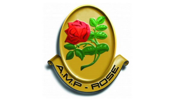 A.M.P-Rose