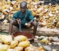 cocoa child labor labour credit ILRF