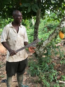 Daniel aboagye cocoa farmer3 750