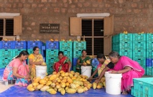DISTINCT ORIGINS _Cacao Fermentery_West Godavari District,AP_ photo Hashim Badani_females crop