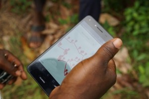 Mapping a Cocoa Farm Using Sourcemap App (00000002)