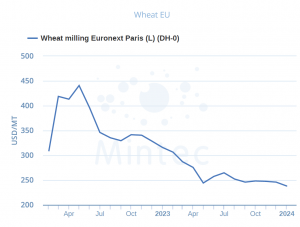 wheat prices Jan2024