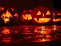 Halloween pumpkin flickr hanna_horwarth