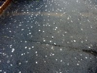 chewing gum litter street - Flickr haracat3