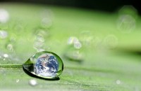 Water, sustainability, earth, green, Copyright danymages