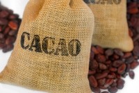 cocoa in jute bag - JANIFEST