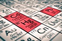 heavy metals cadmium lead - Antoine2K