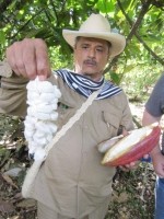Colombia-cordillera farmer