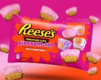 Reeses-Blossom-Top-1