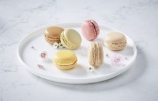 Bridor’s research found almost 20% of European consumers admit to eating macarons regularly. Pic: Bridor