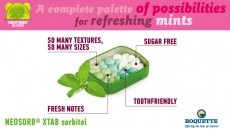 SUGAR-FREE MINTS: TAILORED INGREDIENTS FOR CREATIVE SOLUTIONS
