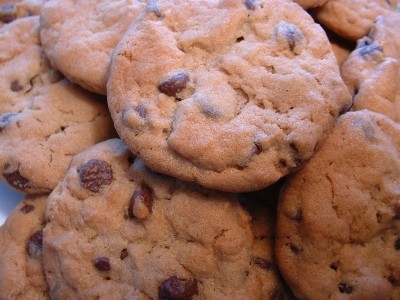 High antioxidant cookies possible with grape seed extracts, says IFT