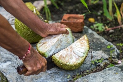Brands could look to roasted jackfruit seeds if cocoa demand outstrips supply, say researchers ©iStock/greenaperture