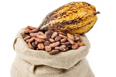 Temperature is not the only parameter influencing browning in cocoa roasting