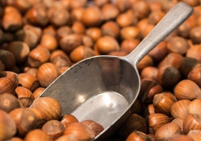 Ferrero shores up hazelnut supply with plantation land buy in Serbia