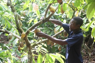 UTZ Certified says its policy of no minimum price for cocoa farmers avoids market distortion, while Fairtrade International says a minumum price protects farmers. Photo Credit: UTZ Certified