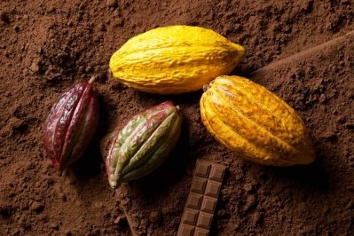 ADM primes for chocolate plant sales