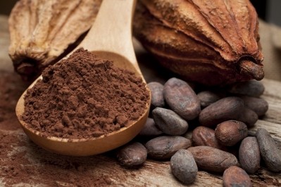 Cocoa Fiber FICAO appears as a dark brown powder, says developer Moner Cocoa. Photo: Moner Cocoa
