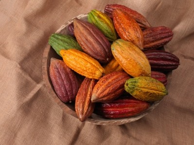 CasaLuker says  fine flavor genome discovery could led to unique-tasting chocolate couvertures