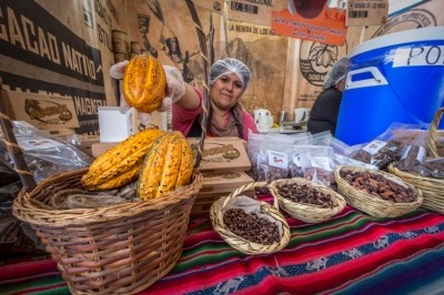 Peruvian cocoa yields are on the rise and the country is poised to by a key cocoa exporter for the future