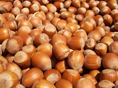 Hazelnut prices up 50% since the start of the year