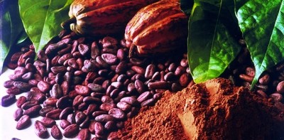 Cocoa shortfall worse than previously feared