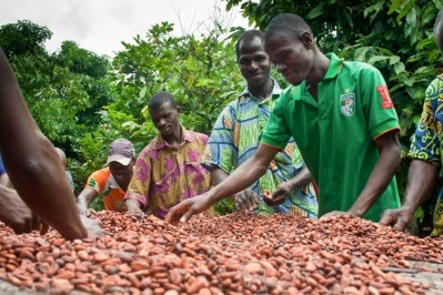 Cocoa farmers are expected to see increased savings upon merger between UTZ and Rainforest Alliance. Photo: UTZ