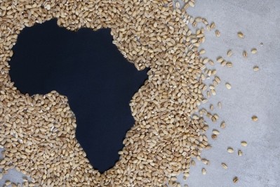 Zero hunger in Africa is achievable and within reach, say global agricultural leaders. Pic: GettyImages