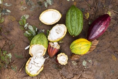 Industry behind on cocoa sustainability, says Mars