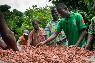 Cocoa farmers struggle to sell certified cocoa at a premium, which may disincentive them to improve productivity. That's bad news for chocolate manufacturers. Photo credit: UTZ Certified