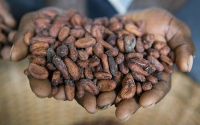 Cargill’s cocoa and chocolate sector edged out last year’s fourth quarter due to a strong performance in Europe. Pic: Cargill